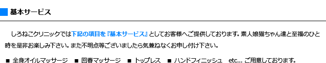 AneDolコンセプト