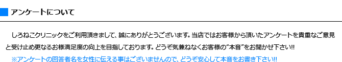 アンケート