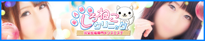 アメキャンバナー300×60