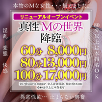 見出しの写真