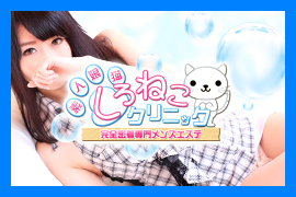 しろねこクリニック